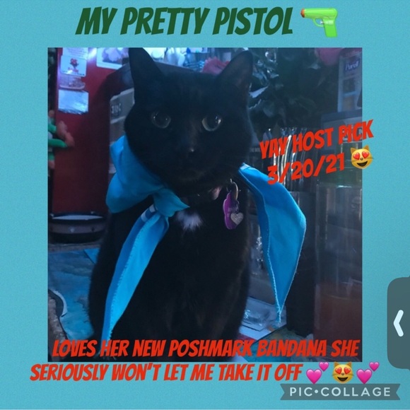 Pet/ human Bandana Poshfixings Exclusive New - Picture 8 of 12